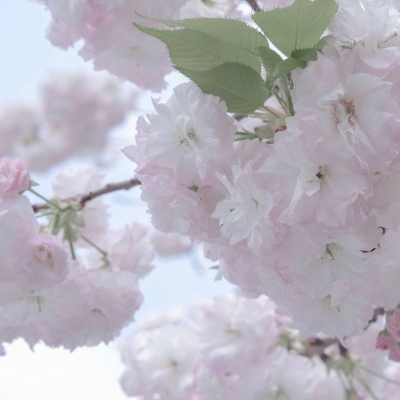 涟源福瑞交流群